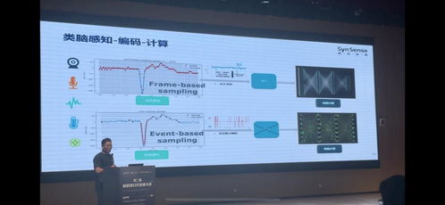 第二届脑机接口技术开发者大会在蓉举办，聚焦前沿技术开发与产业融合