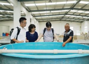 上海市青浦区农业农村委员会技术开发现状与展望