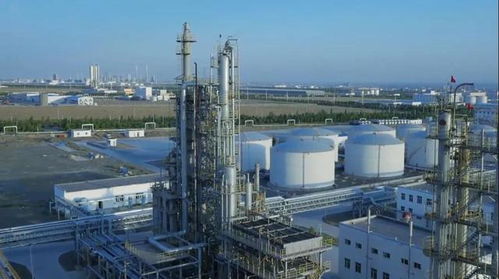 砥砺奋进五年间 奎屯独山子经济技术开发区喜获两项国家级殊荣
